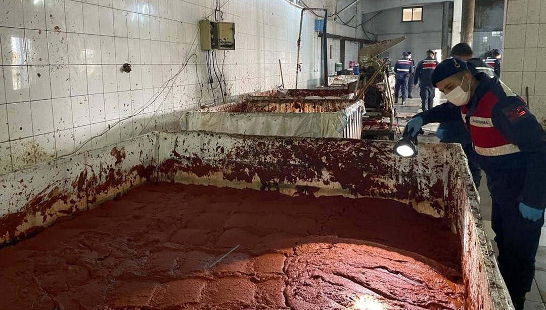 Besi çiftliğinde insan sağlığına aykırı salça üretimi