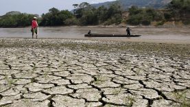 Rekor sıcaklık riski büyüyor, El Nino Türkiye’yi nasıl etkiler?
