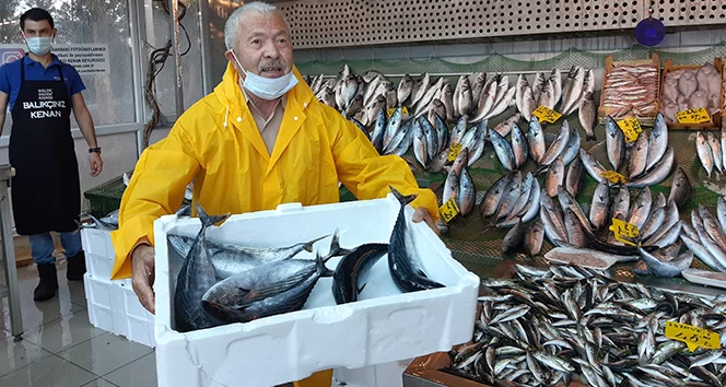 41 kere maşallah! Tezgahlarda 41 gündür palamut bolluğu