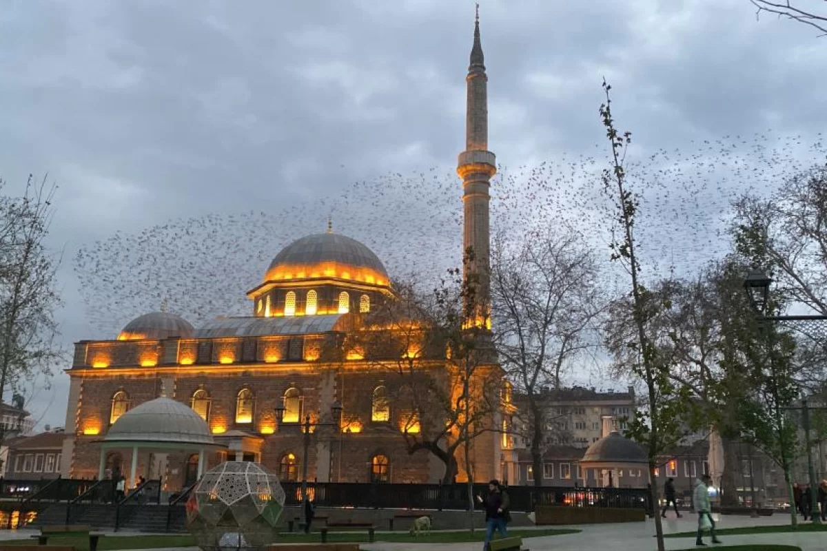 Tarihi cami üzerinde sığırcıkların görsel şöleni